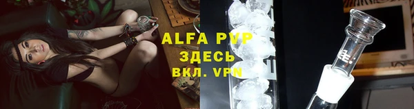 таблы Бородино