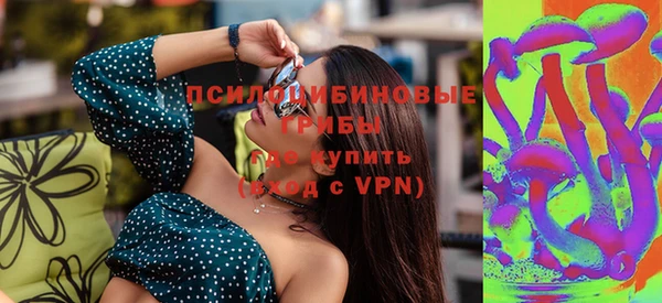 таблы Бородино