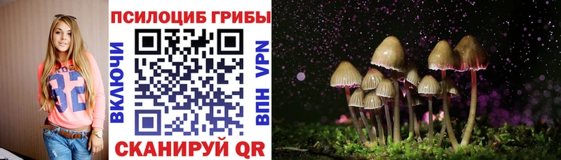 даркнет состав  Сочи  Псилоцибиновые грибы Cubensis 
